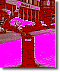 acrobatic stunt on city garbage can
